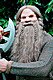 Dwarves Beard Set with wig